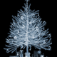Illustration for article titled X-Ray X-Mas Tree Is X-tra Neat
